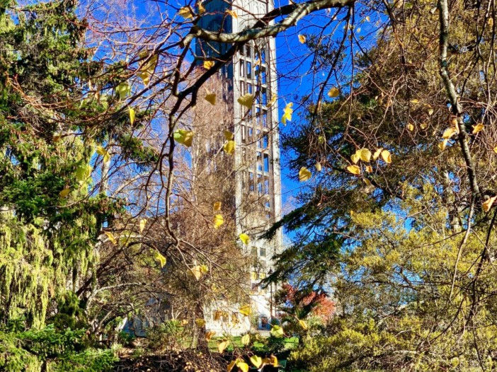 Christ Church Cathedral is an Anglican cathedral church at 1 Trafalgar Square, Nelson