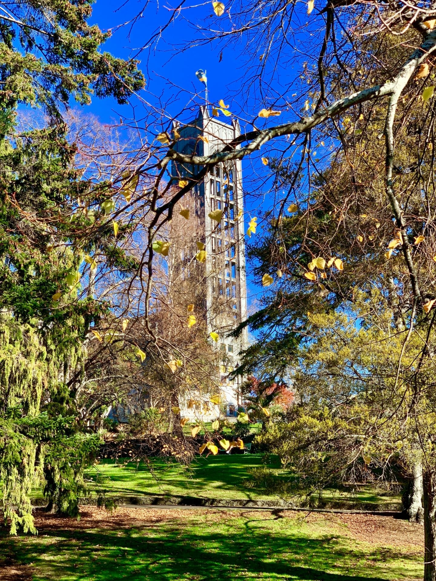 Christ Church Cathedral is an Anglican cathedral church at 1 Trafalgar Square, Nelson