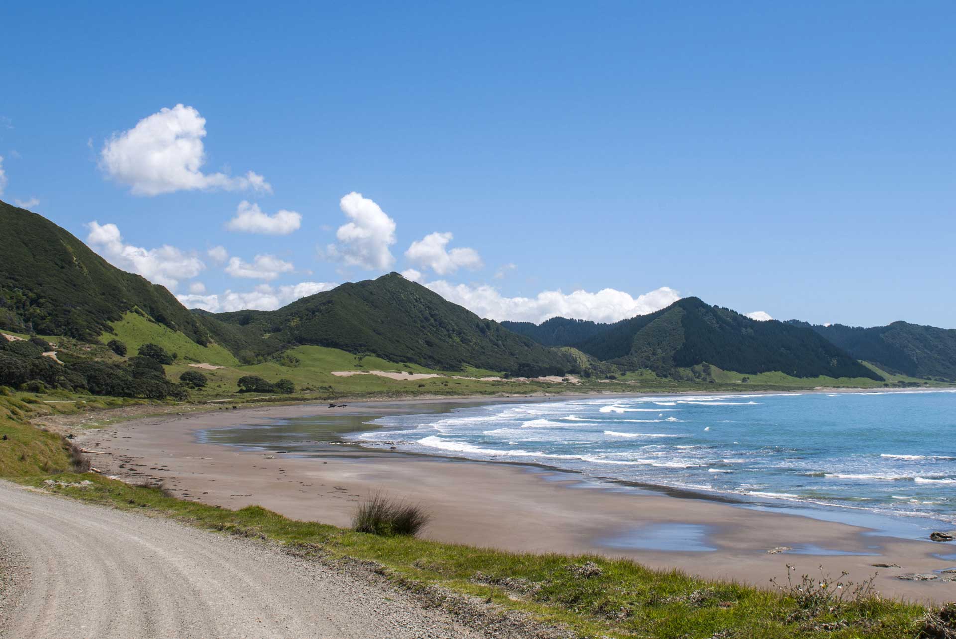Gisborne beaches are great for surfing!