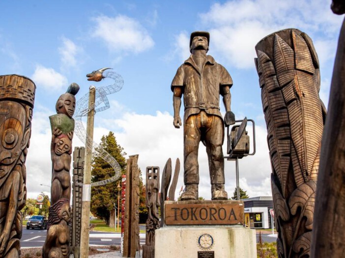 Tokoroa is the hub of NZ forestry, timber and pulp industries.