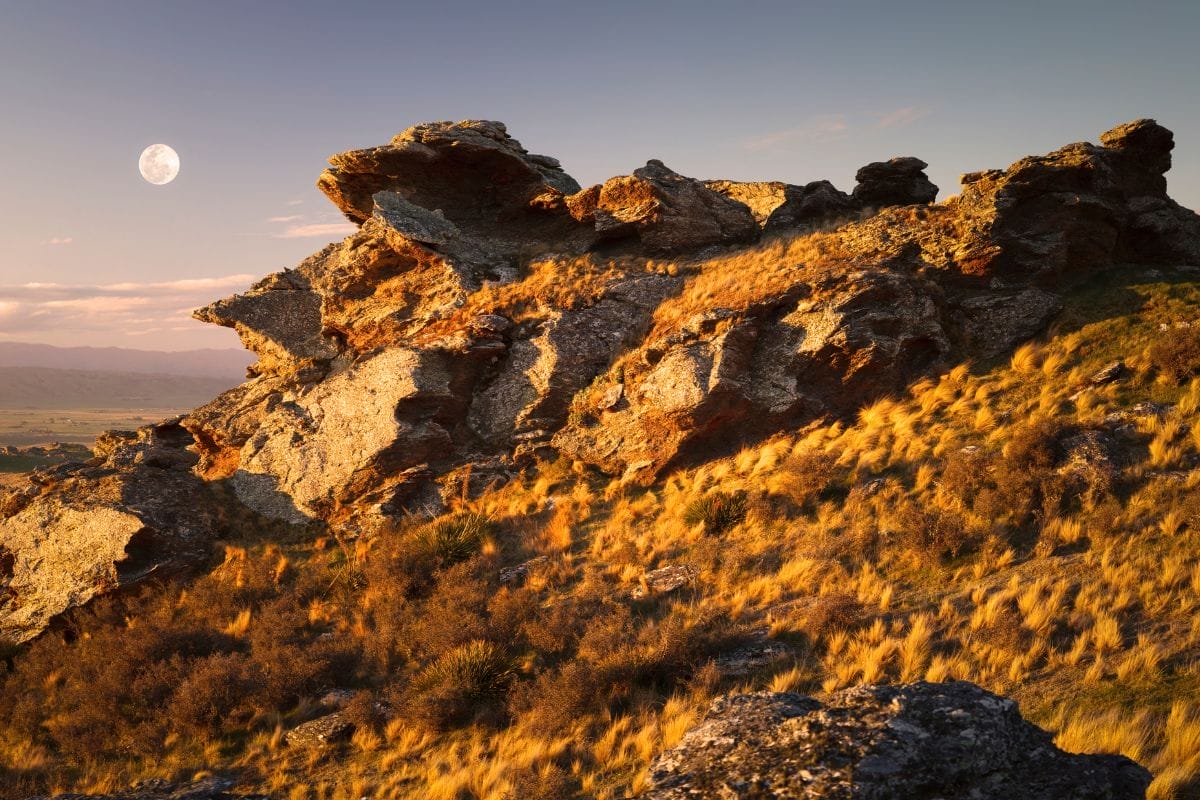 The Alexandra region of New Zealand is defined by rugged hills and striking schist cliffs, shaped by ancient glaciers and its gold-mining history